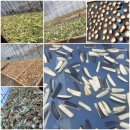 속리산 휴양센터 이미지