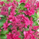 사림로137번길 이미지