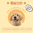 멍냥멍냥 이미지