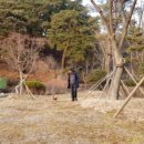 예담 건축사사무소 이미지