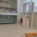 메종드센텀 | 수영 고양이 분양 후기, 메종 드 네코 센텀본점에서 만난 우리 집 냥이 이야기