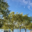 남매공원(경산고옆) 이미지