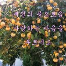 우리마당 이미지