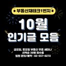 부동산재테크1번지 10월 인기글 모음 + 11월 세미나 일정 이미지