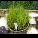 참샘농장 이미지