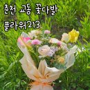 춘천 교동 꽃집 추천 플라워213
