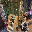 289 | 영주 브런치 카페 맛집 카페289 후기