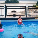 서포비치 이미지