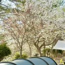 아잘리아그린 | 당진 아잘리아그린 캠핑장, 15주차 임산부 캠핑::너~무 좋았다!