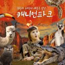 캐니언파크