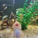 어항카센터 이미지