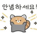 G4901 이미지