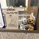 멍냥이네 가위컷 네이버블로그