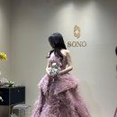 케이소노 | W1-2. 브라이덜 소노 SONO 촬영 유색 드레스 가봉 후기 (그런데 알리를 곁들인...?)
