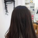 디톤헤어 강동성내점 이미지