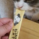 펫토리아 한입뚝딱 후기