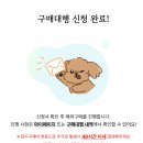 스타리퀴드