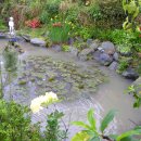 다도펜션 이미지