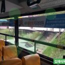 하남새이치과의원 네이버블로그