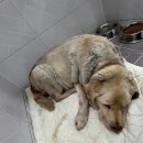 강릉대관령(강릉)휴게소 이미지