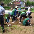 독산1동 분소 이미지