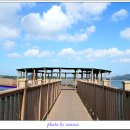 전라남도 신안군 안좌면 퍼플교 이미지