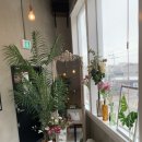 커피바이린