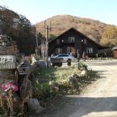 곰배령 쥐와 돼지 이미지