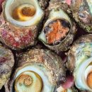 영덕상회 이미지