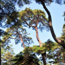 영월청령포 이미지