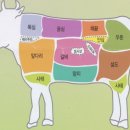 한우가 이미지