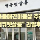 땡큐 펫 살롱 이미지