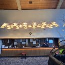 M Golf | 일본 치바 골프 여행 PGM 총성 골프 클럽 PGM Sohsei Golf Club ＰＧＭ総成ゴルフクラブ 라운딩 후기