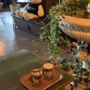 돌체경양식 | 안동 옥동카페 크림커피 맛집 프랭크커핀바 안동점 내돈내산