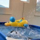 청학로중앙길 이미지