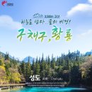 천지항공여행사 이미지