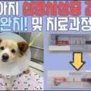 신동물병원 이미지