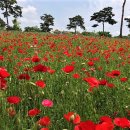 강변공원 이미지