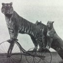 유동물원 이미지