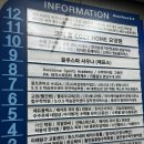 스피나 핏 앤 필라테스 | 전문적인 강사들을 보유한 수내필라테스 스피나핏앤필라테스 후기