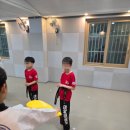 태양태권도 이미지