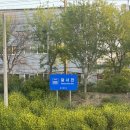 이슬길_DewRoa | [대구] 달서천 유채꽃 개화상태 포토존 | 자신 있는 분만 도전하세요
