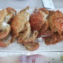 송이횟집