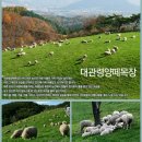 한밭목장 이미지