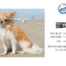 인덕원동물의료센터 이미지