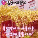 물들이다 | 5월 청주 여행지 목향장미가 아름다운 아르떼 물들이다 카페 방문 후기 애견동반 주차장