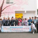 날리벚꽃장 이미지