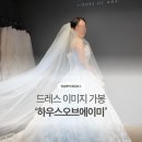 하우스오브가든 | 하우스오브에이미 이미지 가봉 후기 - 비즈vs실크 총 4벌 입고 결정