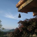 단풍나무펜션민박 이미지