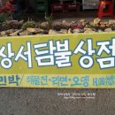 청산도 돌담민박 이미지